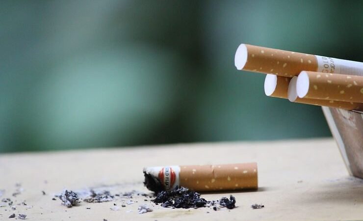Cigarro apagado com cinzas ao lado de cigarros inteiros